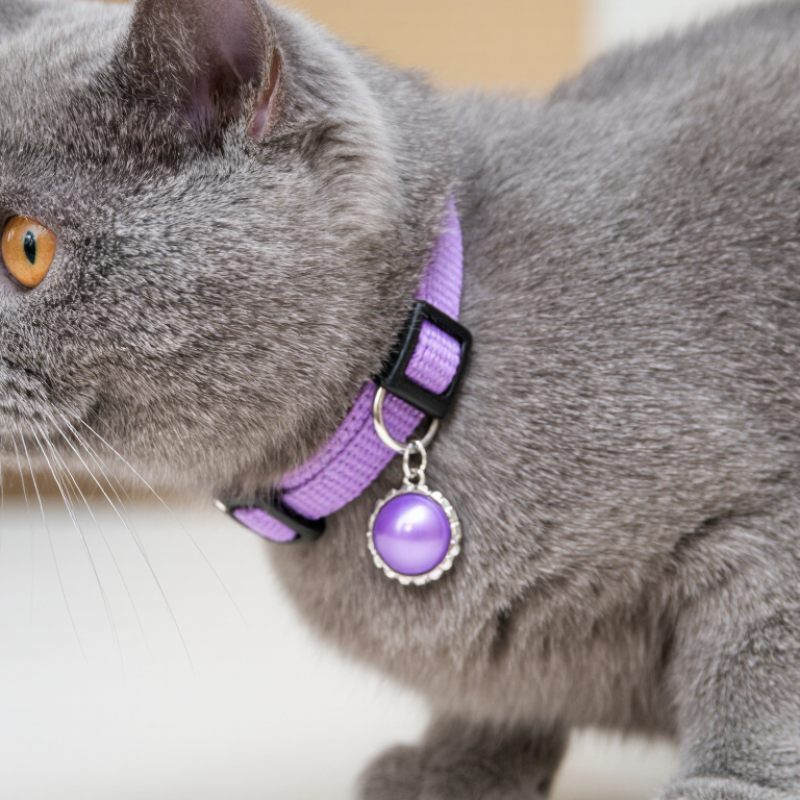 How to Choose the Best Cat Collar Charm?