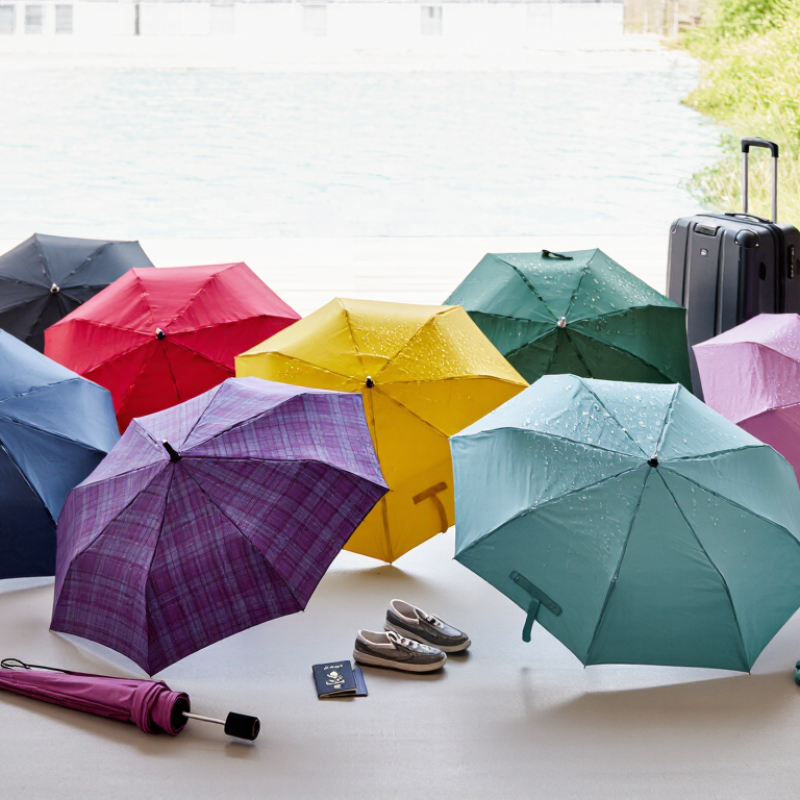Top 10 Best Small Umbrellas for Travel and Rainy Days