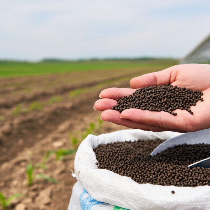 2026 Best Granular Seaweed Fertiliser for Global Buyers