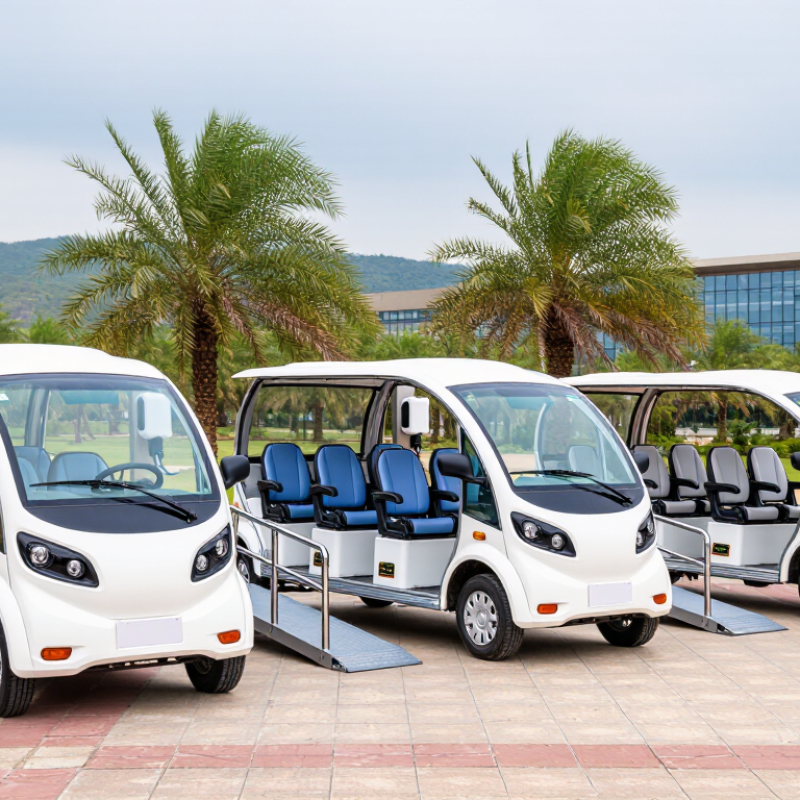 What Are the 2026 Top Electric Sightseeing Cars?
