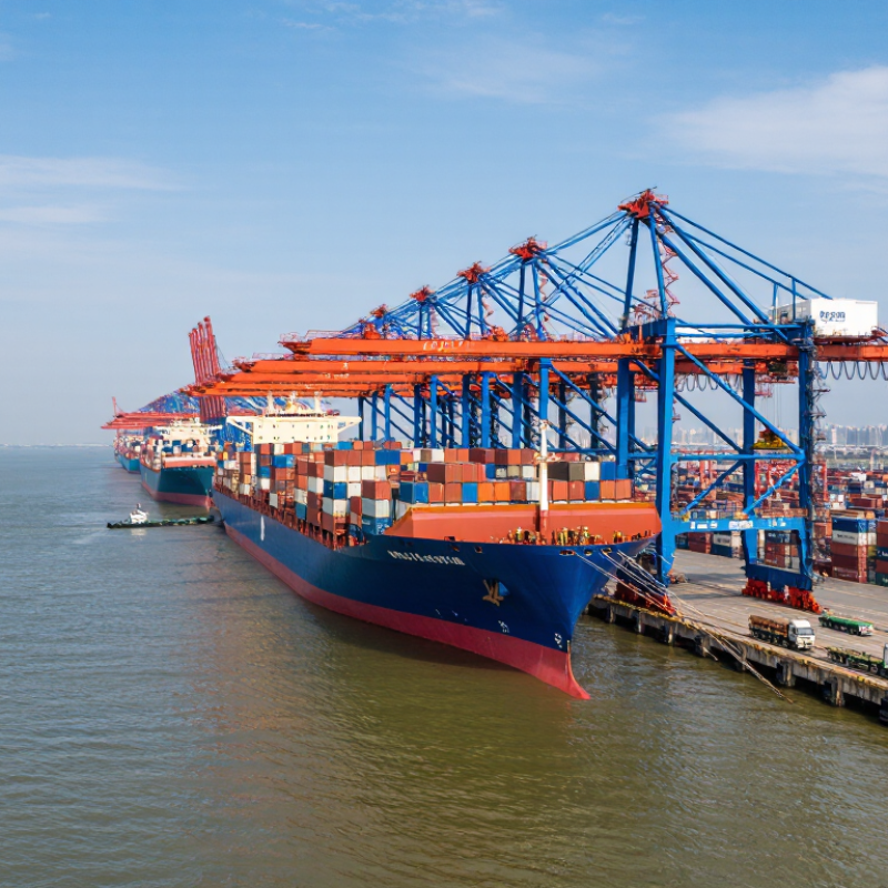 2026 Top US Ocean Freight Lines for Global Buyers