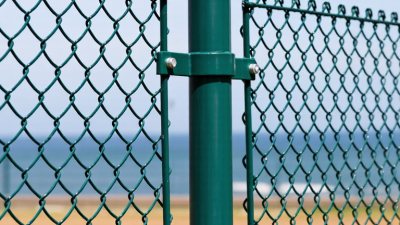 What Is Polyester Coated Chain Link Fence?