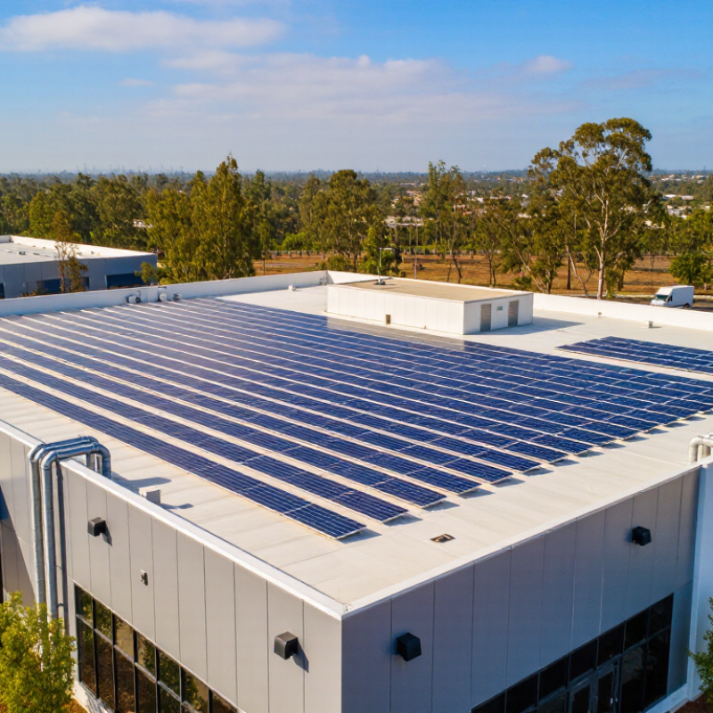 Why Choose Solar Panel Solutions for Your Business?