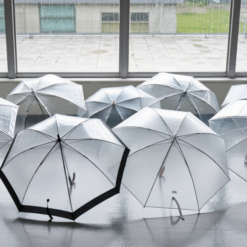 China Top 10 Custom Clear Umbrella Manufacturers?