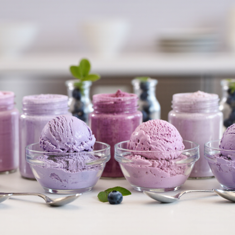 7 Best Blueberry Flavored Ice Cream Powders for Buyers