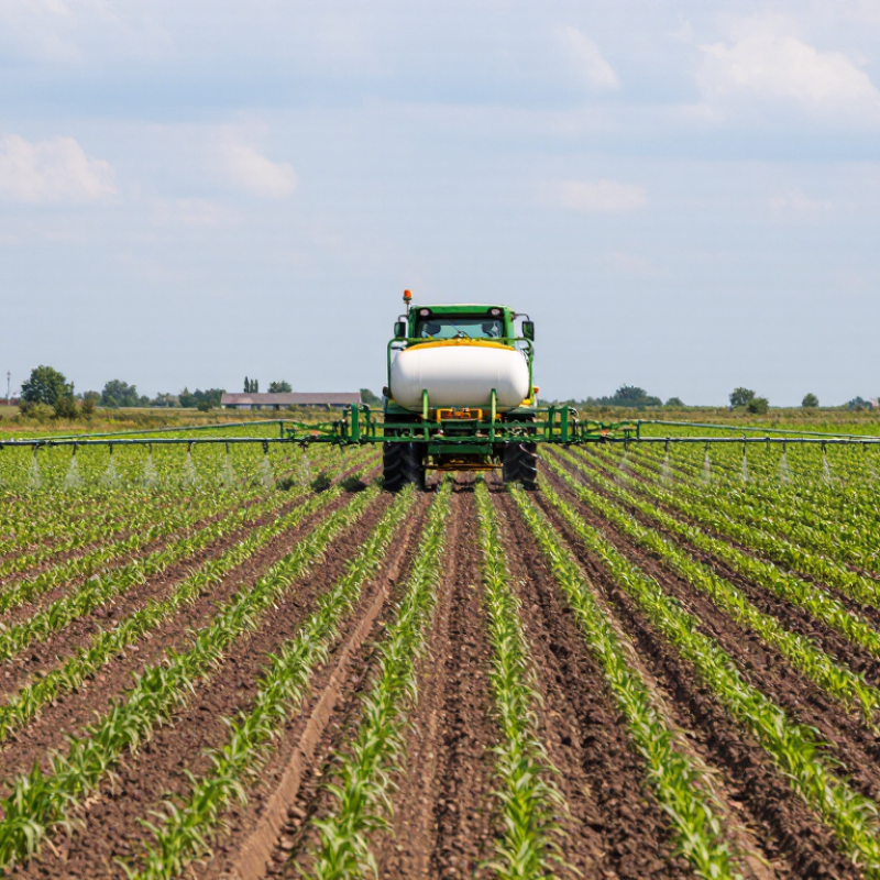 Why Is Liquid Nitrogen Used for Corn?