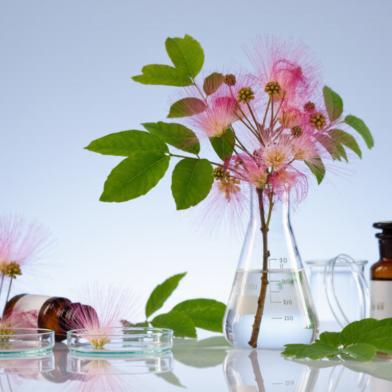 What Is Smoke Tree Extract Used For?