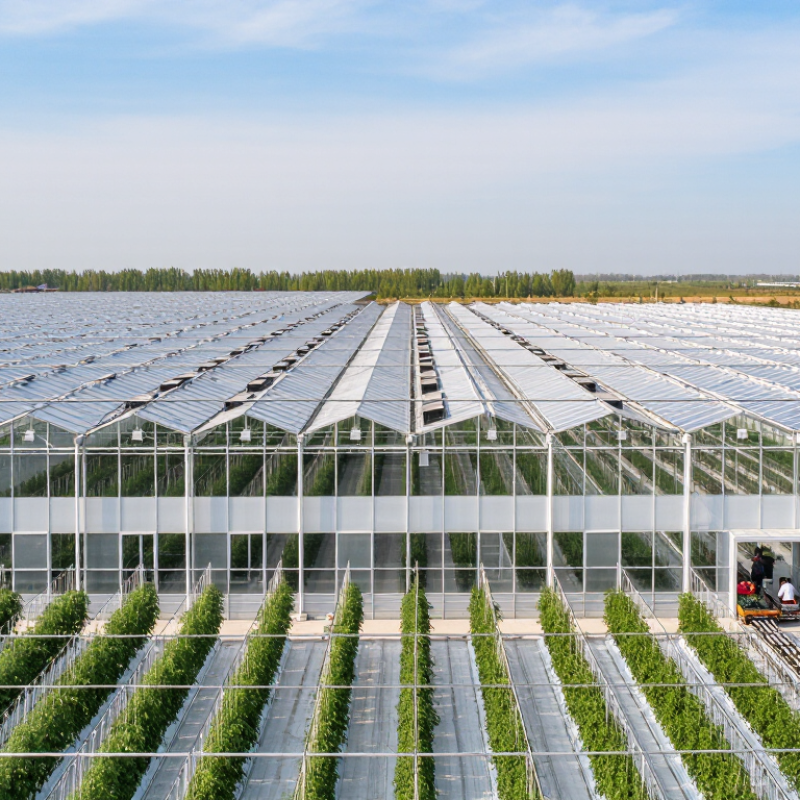How to Choose the Right Industrial Greenhouse?