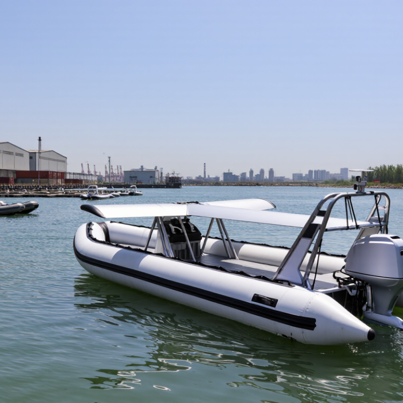China Top Flying Inflatable Boat Manufacturers for Sale
