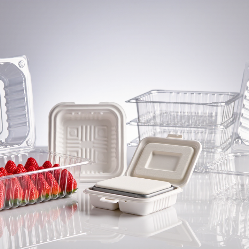 What Are the Best Plastic Clamshells for 2026?