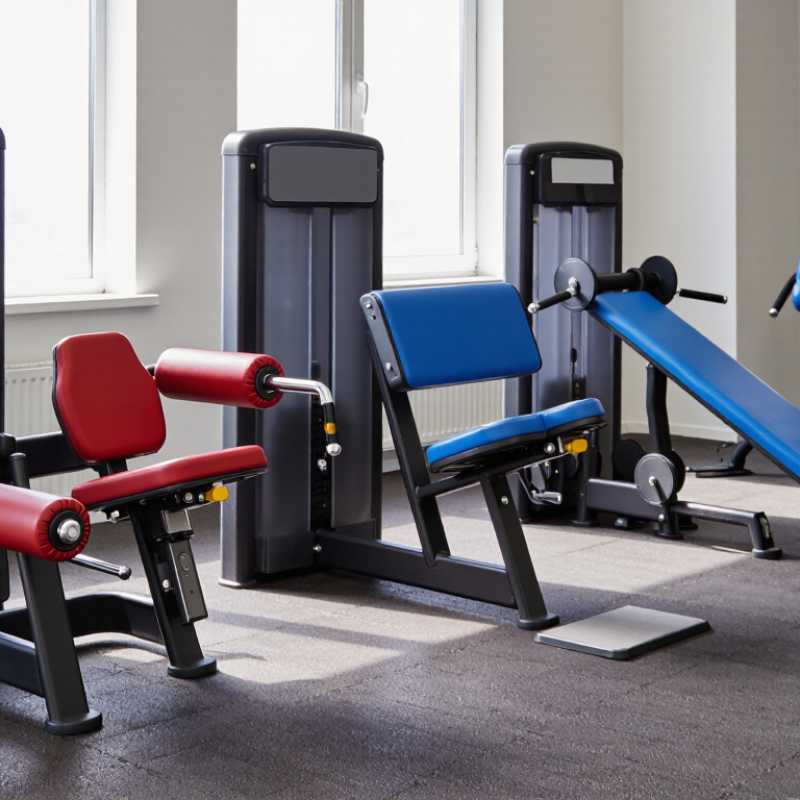 What Are the 2026 Best Posterior Chain Training Machines?