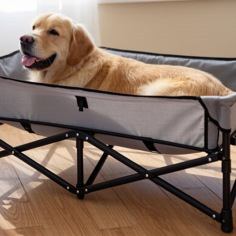How to Choose the Best Foldable Pet Cot?