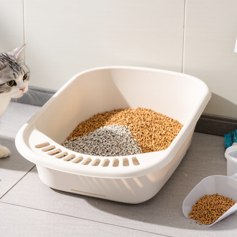 Como mudar seu gato para areia de pinho em 2026?